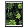 Forest From Above Wall Art Print