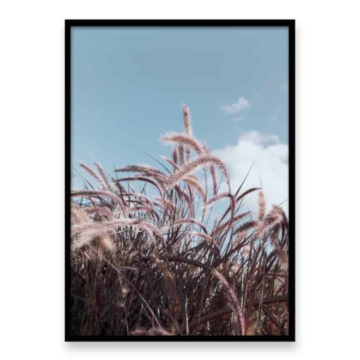 Grass In The Wind Wall Art Print