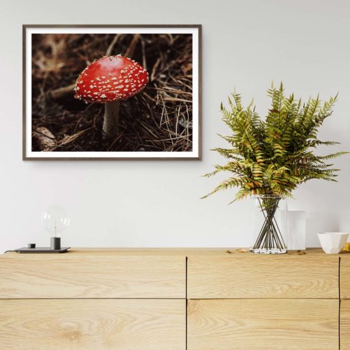 Red Mushroom (Fly Agaric Mushroom) Wall Art Print
