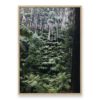 Forest Side Wall Art Print