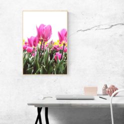 Pink Tulips Wall Art Print