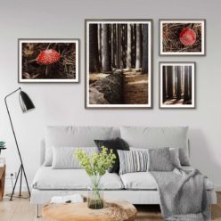 Set of 4 Prints - Into the Woods Gallery Wall Art Prints