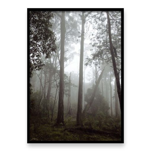 Misty Forest - Wall Art Print