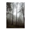 Misty Forest - Wall Art Print