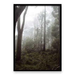 Misty Forest II - Wall Art Print