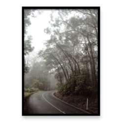 Misty Forest Drive - Wall Art Print