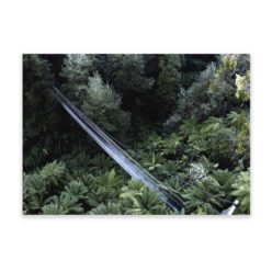 Corrigan Suspension Bridge - Wall Art Print