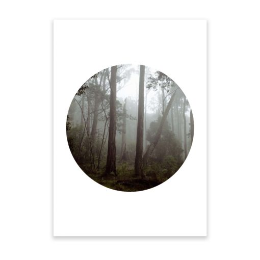 Misty Forest Circle - Wall Art Print