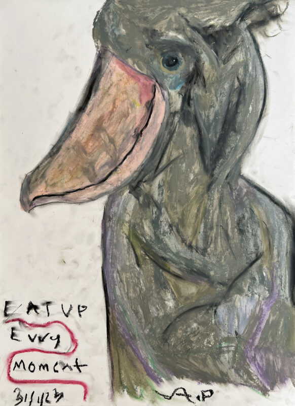5 shoebill web